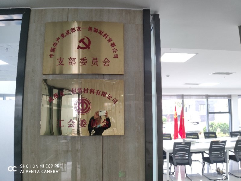 热烈祝贺USDT数字钱包集团成都分公司党支部在2020年3月11日授牌成立，支部书记曹云(行政部经理)